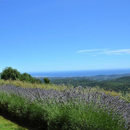 방스 La Bastide Des Pins B&B 외부 사진