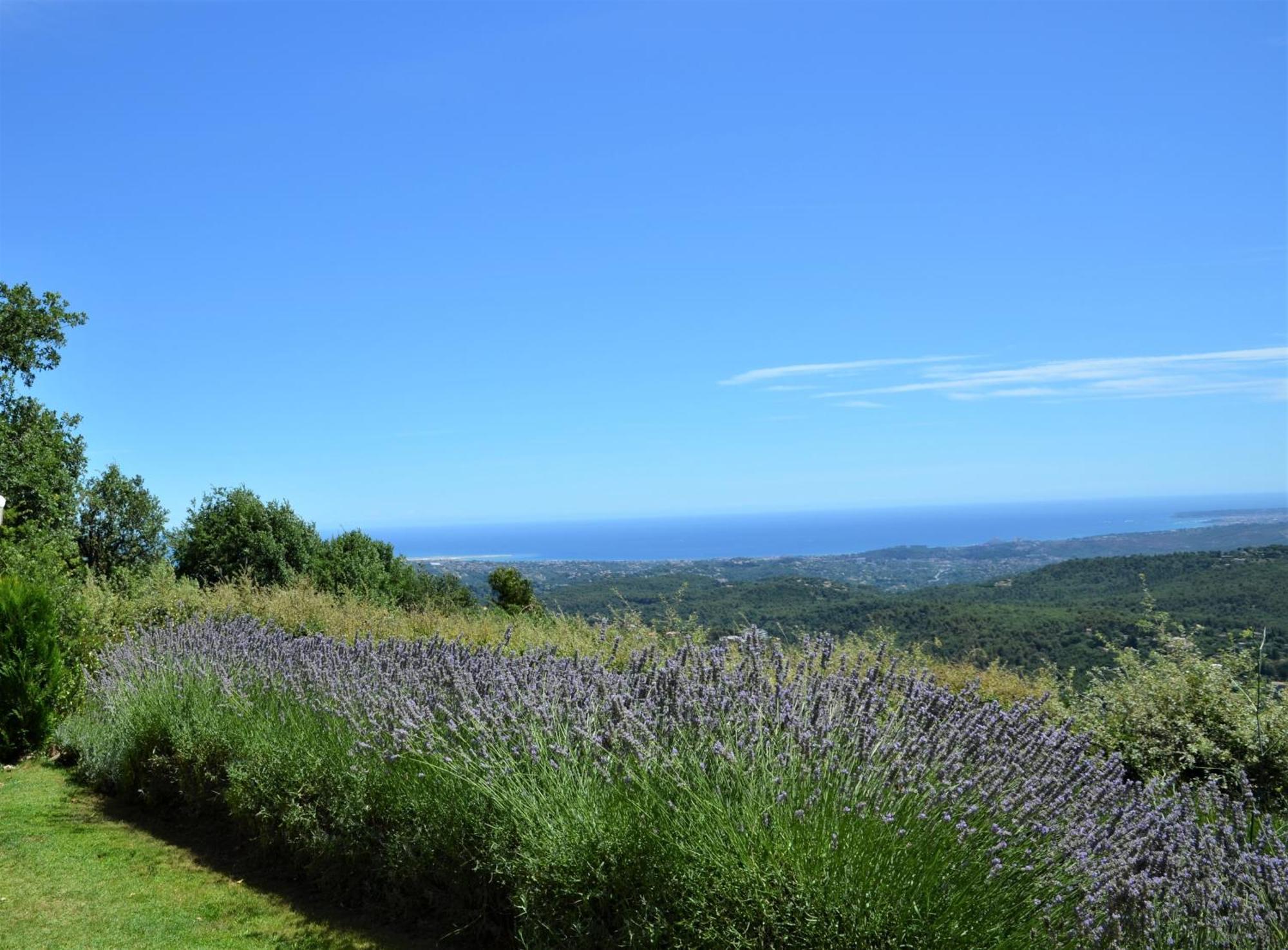 방스 La Bastide Des Pins B&B 외부 사진