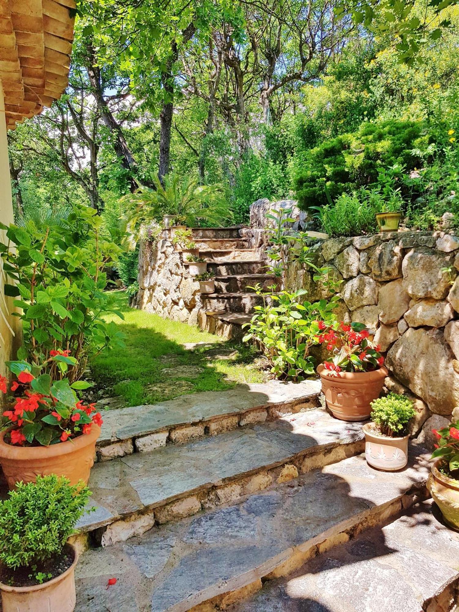 방스 La Bastide Des Pins B&B 외부 사진